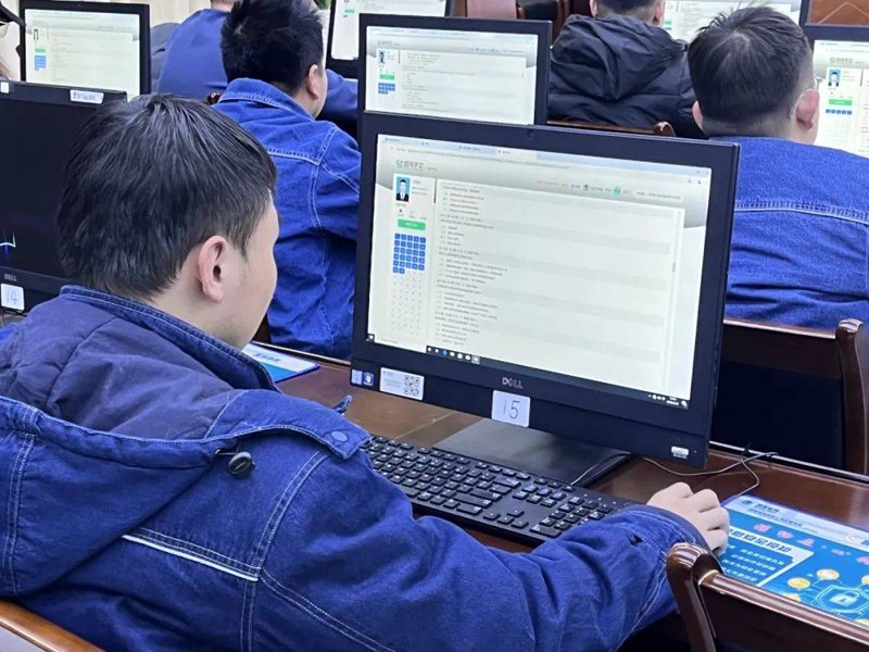 大数据时代,如何高效查询官网数据?
