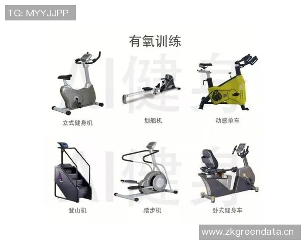 球形健身器材功能详解及实用训练方法